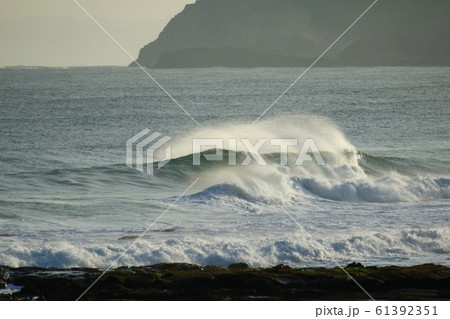 日本の波5135 61392351