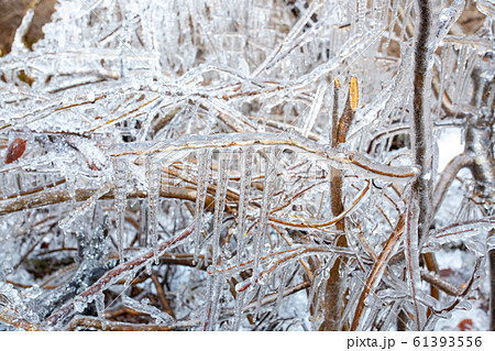 秩父三大氷柱　イメージ素材 61393556