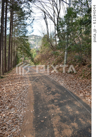 冬の秩父　林道釜伏峠 61394044