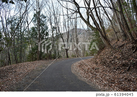 冬の秩父　林道釜伏峠 61394045