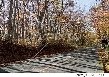秋の大山環状道路 秋の大山環状道路 61394412