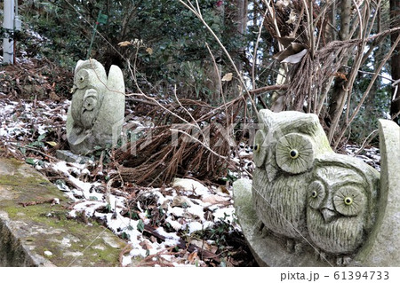 鷲子山上神社のふくろう像 61394733