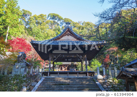 京都　石座神社（いわくらじんじゃ）の紅葉　　 61394904