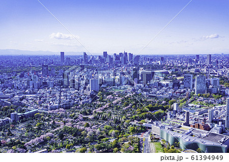 （東京都）東京都市風景　新宿方面 61394949