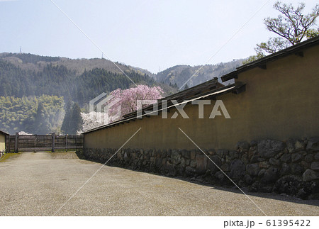 一乗谷城跡　一乗谷朝倉氏遺跡　明智光秀ゆかりの地　麒麟がくる 61395422