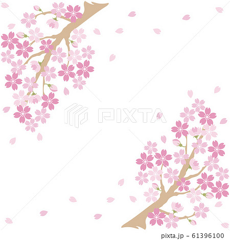 さくら 桜 春 お花見 シンプル 背景 コピースペースのイラスト素材