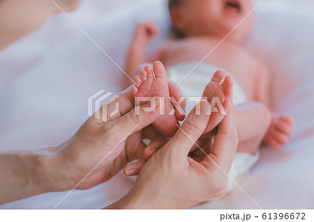 Day 10 生後10日 Day 10 生後10日 61396672