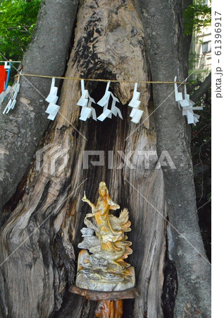御神木・小さな仏像(今宮神社/埼玉県秩父市中町) 御神木・小さな仏像(今宮神社/埼玉県秩父市中町) 61396917