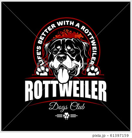 Rottweiler - vector illustration for t-shirt, logo and template badges 61397159