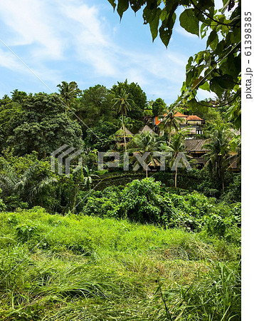 バリ島の風景 61398385