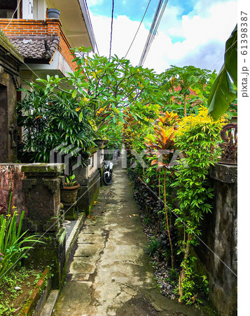バリ島の路地 61398387