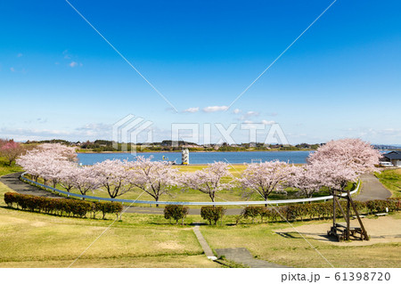 長沼フートピア公園・満開のアーチ桜並木 61398720