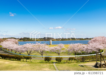 長沼フートピア公園・満開のアーチ桜並木 61398721