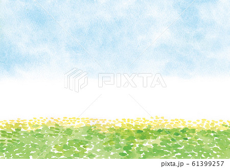 空と菜の花　水彩イラスト 61399257
