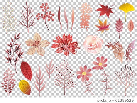 花元素集 61399529