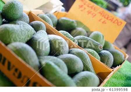 アボカド 61399598