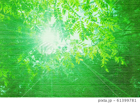 新緑、森、写真アート 新緑、森、写真アート 61399781