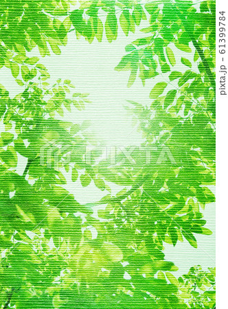 新緑、森、写真アート 新緑、森、写真アート 61399784