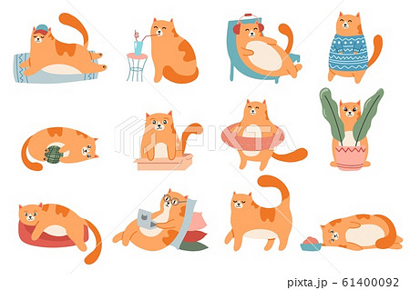 Cute Cats Cat In Box Adorable Red Kitty のイラスト素材