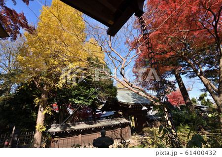 川崎市 妙楽寺 紅葉 川崎市 妙楽寺 紅葉 61400432