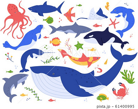 Ocean animals. Cute fish, orca, shark and blue... - Stock Illustration  [61400995] - PIXTA