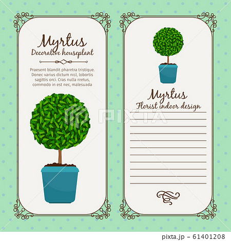 Vintage label with myrtus plant 61401208