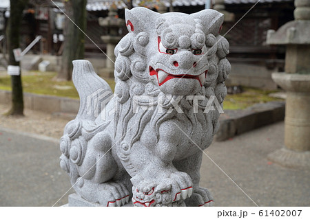 きりりとした狛犬 獅子 那古野神社 愛知県名古屋市 の写真素材