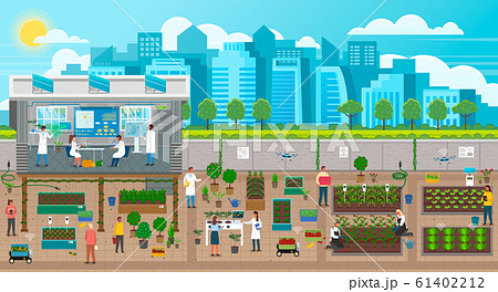 Urban Agriculture and Plants Growing in Big City 61402212