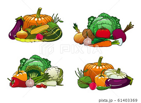 Vegetables, farm market cabbages and veggies Vegetables, farm market cabbages and veggies 61403369