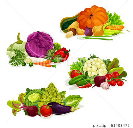 Vegetables, vegetarian food salads and cabbages 61403475