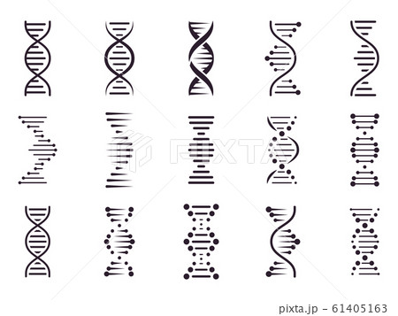 Spiral Dna Icon Dna Molecule Helix Spiral のイラスト素材