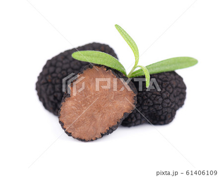 Black truffles isolated on a white background. Fresh sliced truffle with rosemary branch. Delicacy exclusive truffle mushroom. Piquant and fragrant French delicacy. Clipping path. Black truffles isolated on a white background. Fresh sliced truffle with rosemary branch. Delicacy exclusive truffle mushroom. Piquant and fragrant French delicacy. Clipping path. 61406109