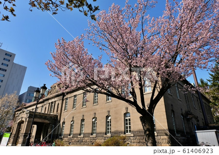 桜と札幌市資料館 桜と札幌市資料館 61406923