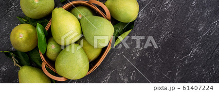 ユズ 柚 文旦 61407224