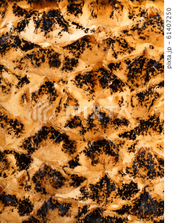 Brown and black leopard pattern. Brown and black leopard pattern. 61407250