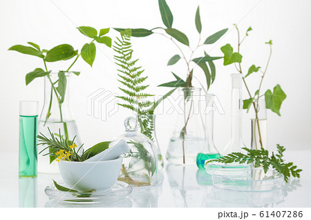 Scientific Experiment. Different herbs in test 61407286