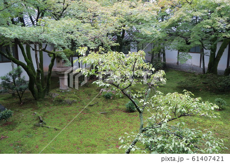 【世界遺産 古都京都の文化財】仁和寺御殿の庭園 京都府京都市右京区 【世界遺産 古都京都の文化財】仁和寺御殿の庭園 京都府京都市右京区 61407421