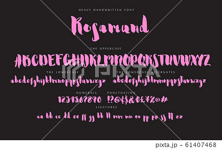 Handwritten script font vector alphabet Rosamund set 61407468