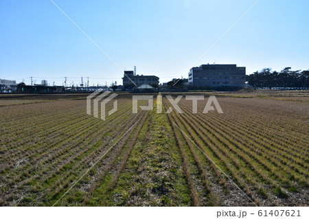 寒川町の風景 寒川町の風景 61407621