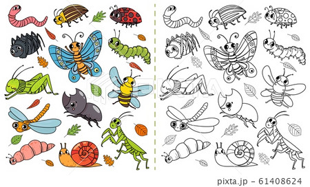 Cartoon insects color painting game. Draw cute insect with kids, funny bug, worm and caterpillar vector illustration Cartoon insects color painting game. Draw cute insect with kids, funny bug, worm and caterpillar vector illustration 61408624