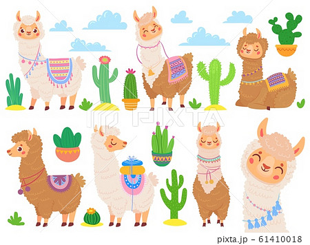 Cartoon mexican alpaca. Funny llamas, cartoon cute animal and llama with desert cactus vector set 61410018