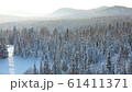 Winter forest on a Sunny day. Snow-covered firs. Light snowfall. Beautiful view from above 61411371