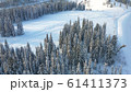 Winter forest on a Sunny day. Snow-covered firs. Light snowfall. Beautiful view from above 61411373