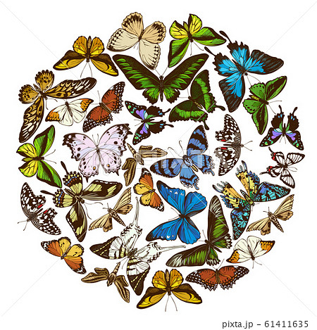 Round design with colored papilio ulysses, morpho menelaus, graphium androcles, morpho rhetenor cacica, papilio demoleus, cethosia biblis, papilio antimachus, alcides agathyrsus, ornithoptera priamus 61411635