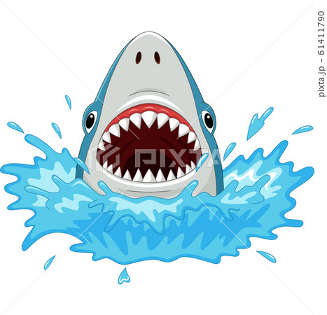Cartoon Shark With Open Jaws Isolated On A のイラスト素材