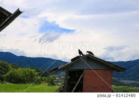 カラスの相談 61412480