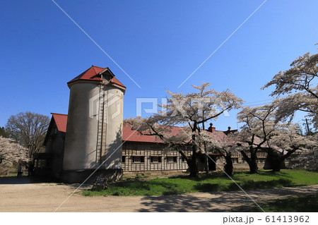 岩手　雫石　小岩井農場　上丸牛舎群と満開の桜　 61413962