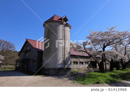 岩手　雫石　小岩井農場　上丸牛舎群と満開の桜　 61413966