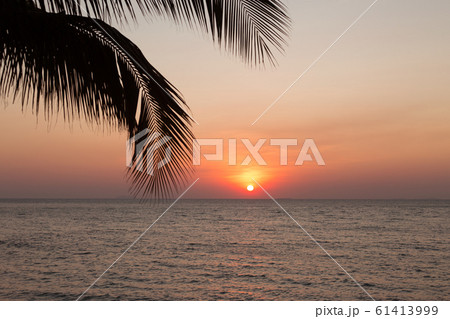 Palm tree leaf on blur tropical sunset beach background. Travel concept template. Palm tree leaf on blur tropical sunset beach background. Travel concept template. 61413999