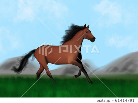 Horse, Akhalteke, jumper, mountain, plane, grass Horse, Akhalteke, jumper, mountain, plane, grass 61414791